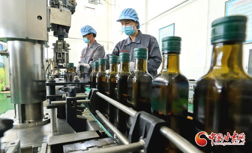 高臺縣 以礦物加工思維賦能農(nóng)產(chǎn)品精深加工產(chǎn)業(yè)鏈升級